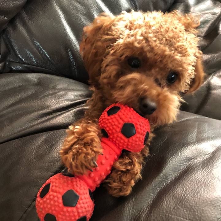 Ef2e1572 0464 4848 be0b d4dd9cd1c19b 1510824523055