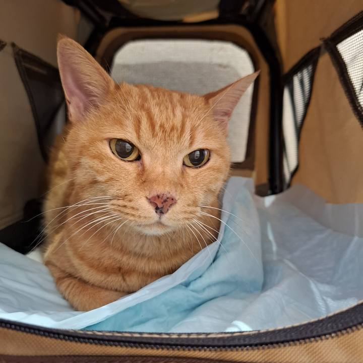 Ef2e4493 3b2c 4b1b 8826 28cc1288a049 1753582368856