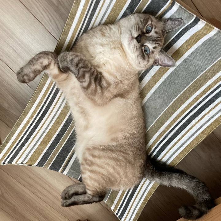 Ef2e89a8 583a 4c7b 938e c39d3ac747dc 1662335644445