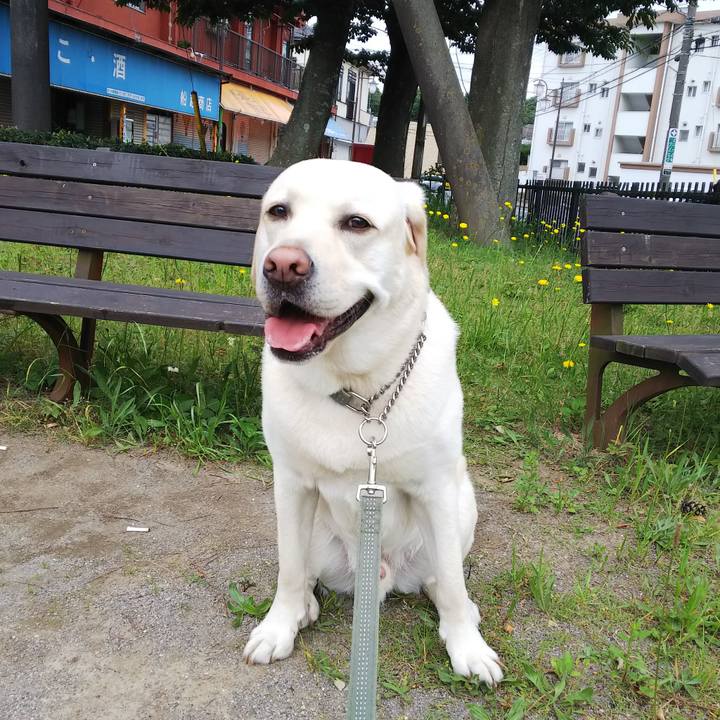 Ef2e9fc3 35c8 4d87 877d 006b9667fa14 1527039987626