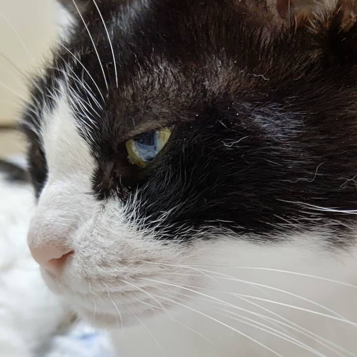 Ef2eac02 423a 4e45 a95e b28a34167aaf 1600899066526