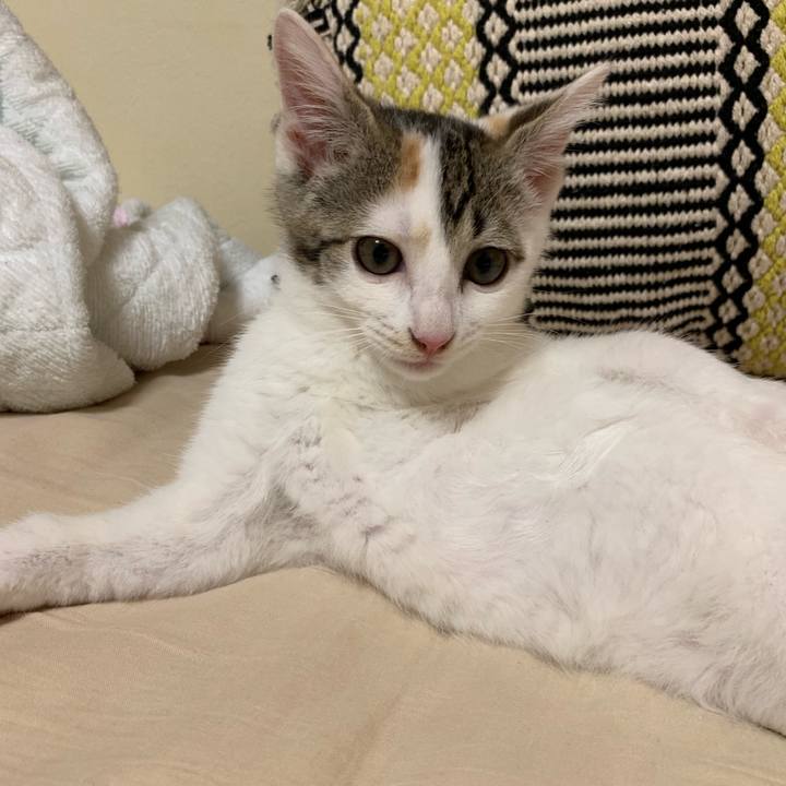 Ef2eadc6 91d5 408d b5c8 6e2f18d2df1d 1593950664458