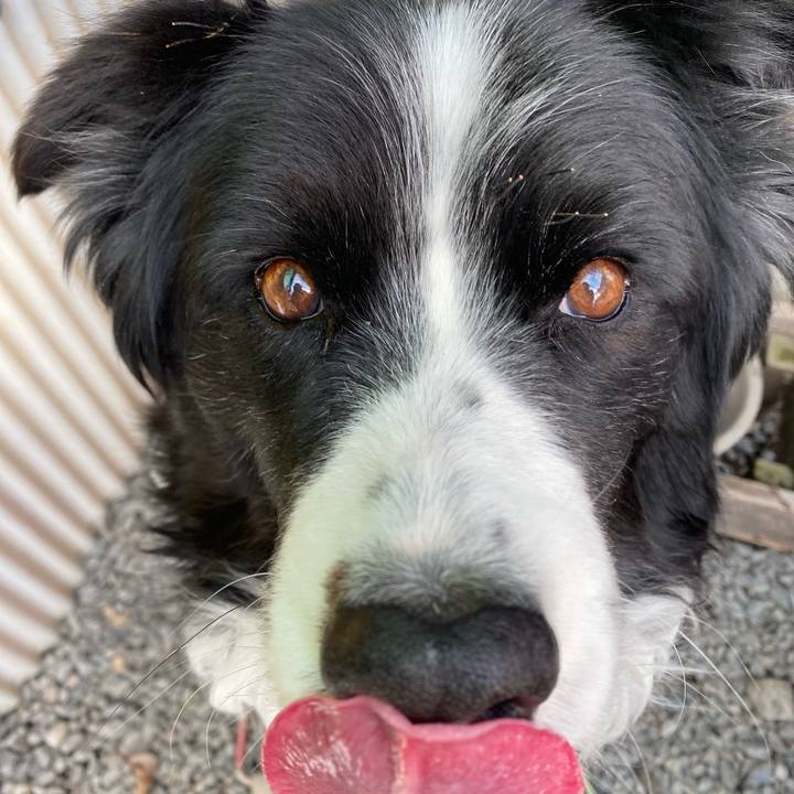 Ef2ec06c 7909 4ee0 a53a 4d27ca39f3b8 1644106880031