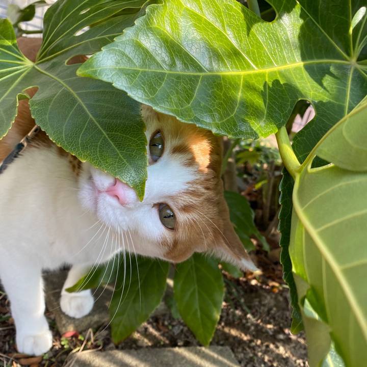 Ef2ed197 5682 42aa ae2c 214ba4df48bb 1609650293848