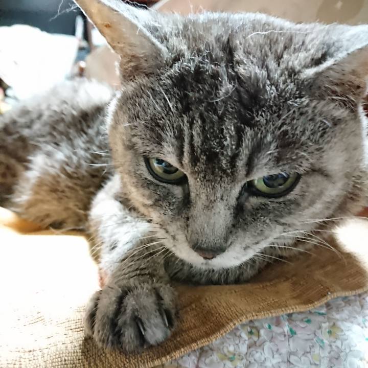 Ef2ee135 b884 4372 b40c 8ceb1766f4f3 1567369785305