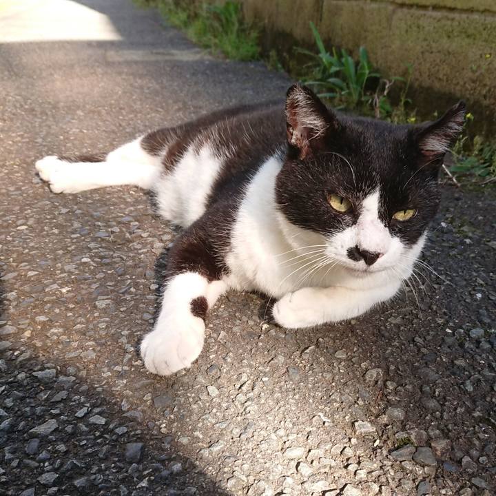 Ef2ee83e e5e0 46e8 b64c 7cd42f310a7d 1597185884516