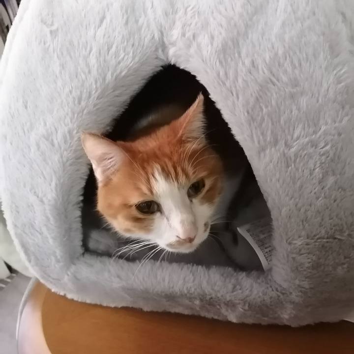 Ef2ef698 4384 4775 80ea 97f52b034a5b 1610920953465