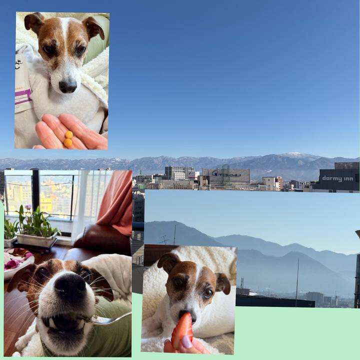 Ef2f0f60 07c8 4387 b3d4 b54d041810e1 1766982666126