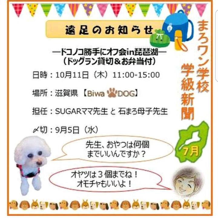 Ef2f5957 55e8 43cb bdfb 721130a60993 1531819431645