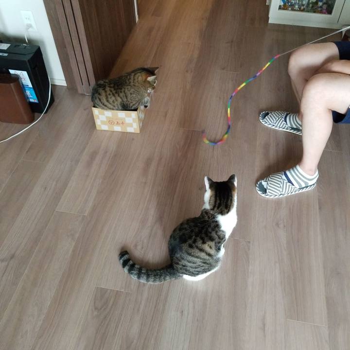 Ef2f7a00 7096 49e2 9a42 64b237f6a7c4 1561249426051