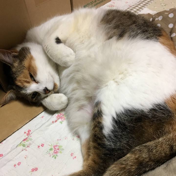 Ef2f866c e473 4cd7 9e67 e4bd93040ffd 1515902373710