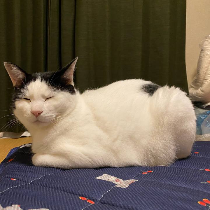 Ef2fb04f 7995 465c be66 2448c7281a0a 1662211708765