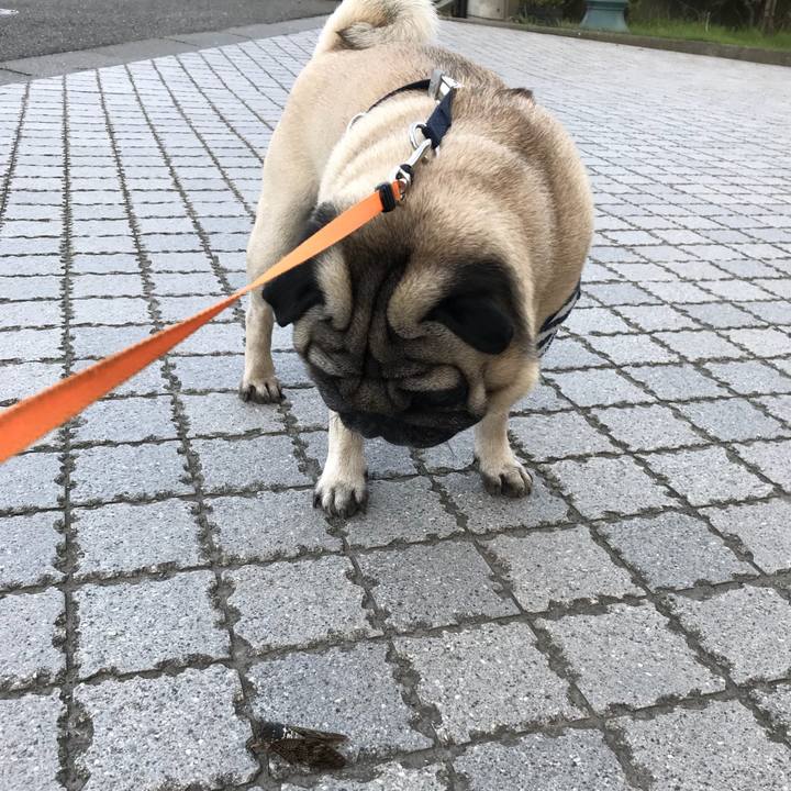 Ef2fd94a 0308 42b5 adfa d87ed3ea962e 1532125275881