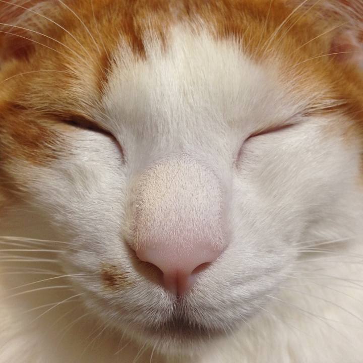 Ef2fe95e 122b 4313 b6f0 189ffaa464ac 1577485650841