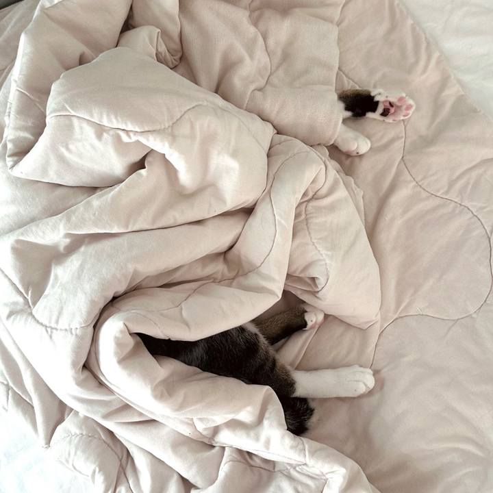 Ef301ba6 6cd9 4535 a29f 366530f59ea3 1758958785350