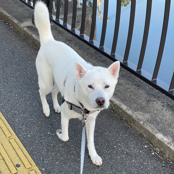 Ef303470 8542 4caa 966a 1a7d8a660d8b 1637108220123