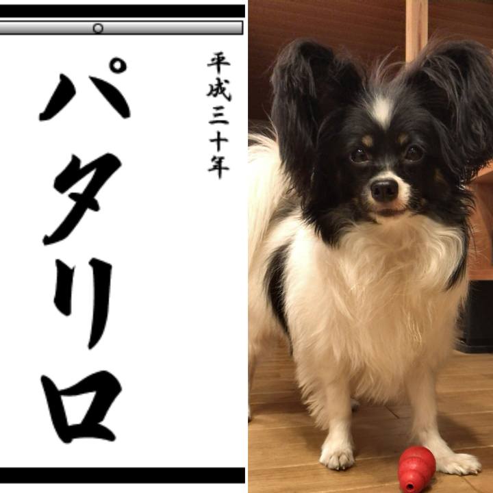 Ef304853 df22 4d33 9401 900feefa84dd 1515021269598