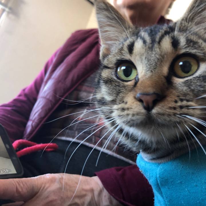 Ef306e70 c0b9 4c8e 9eb9 6b7a393b529d 1737769715942