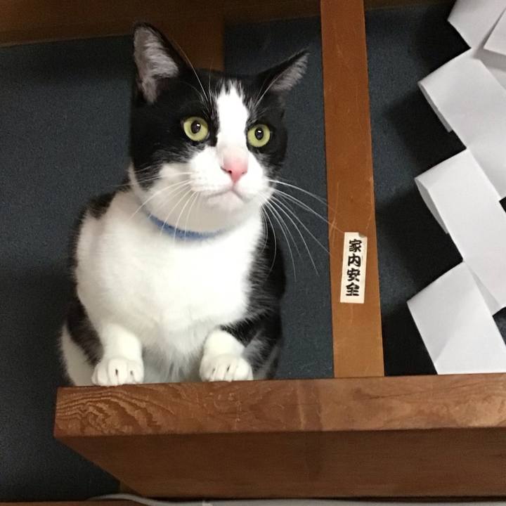 Ef30bab8 cc56 456b 905a 4a1f2f76b038 1732701949075