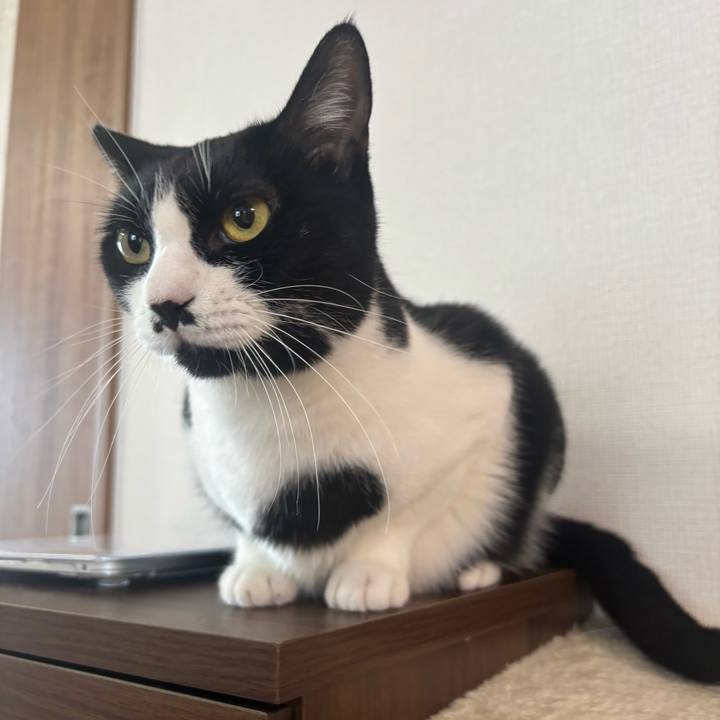 Ef30bf4f 3d1c 4ea9 9cc0 e4b1f915a587 1756084674369