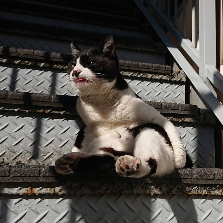 Ef30c0b7 ae85 457d beb6 5abfd8ac0869 1612660722408