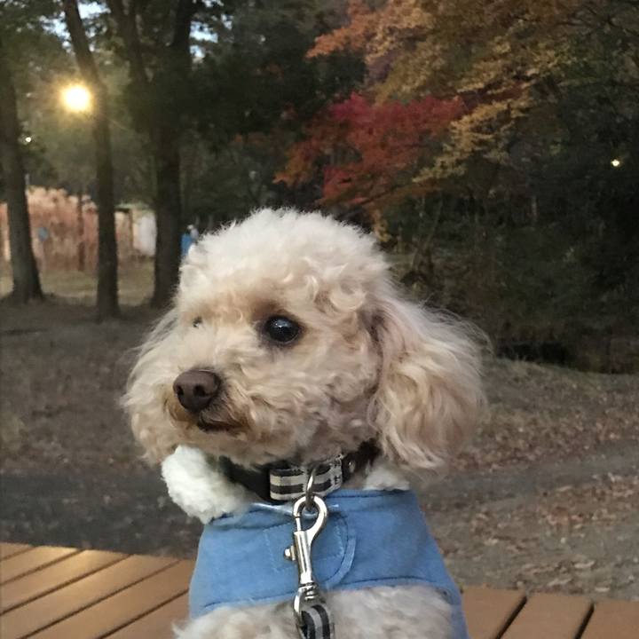 Ef31240e 22c5 42e6 91c6 32a03b6ed7b5 1543840619171