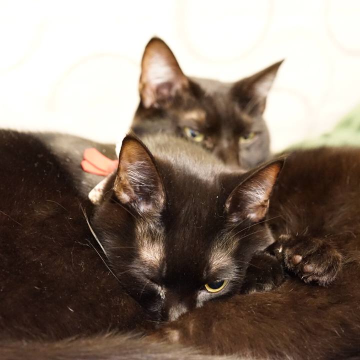 Ef31538b 0271 4e2c 8fd4 26868ee87c37 1547714724866