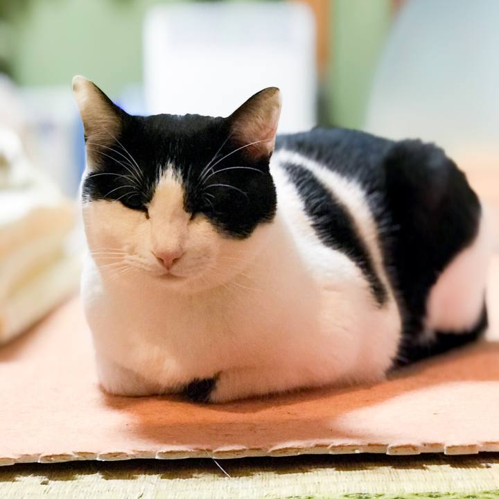 Ef31b972 76ab 4282 96e4 9698ef60dab0 1519520989472