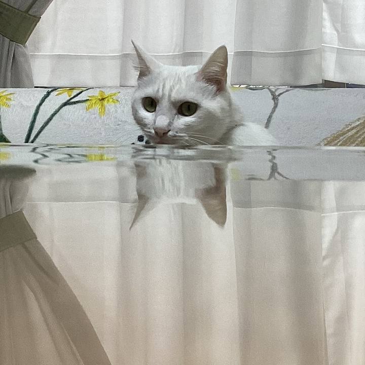 Ef31f2b8 7798 4bd3 a96c e3a29da7de40 1671237156016