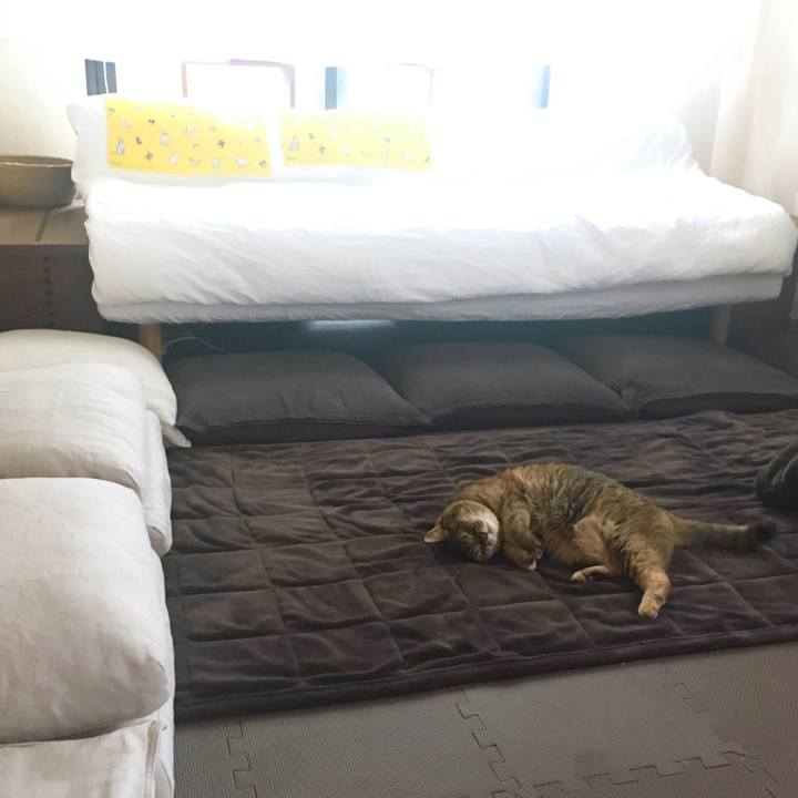 Ef321306 5314 4fbd a3f3 8e683a640a62 1516676104121