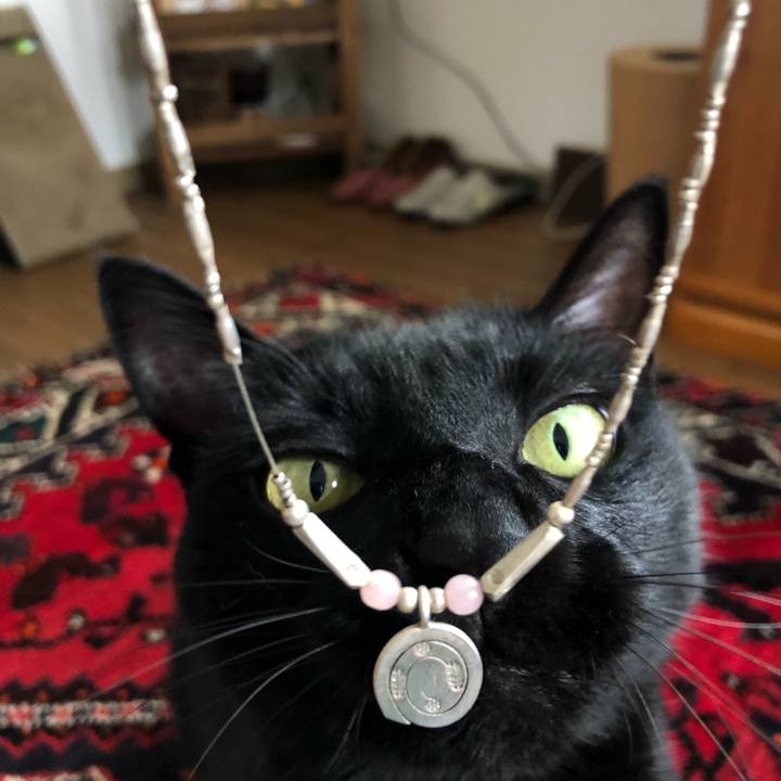 Ef322cd5 663a 4258 b8be 4aa123ee5124 1652579245939