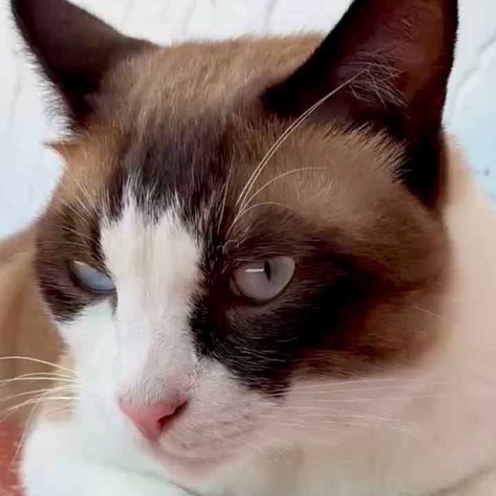 Ef322da0 11a8 4797 a759 45fac660f055 1755135950028