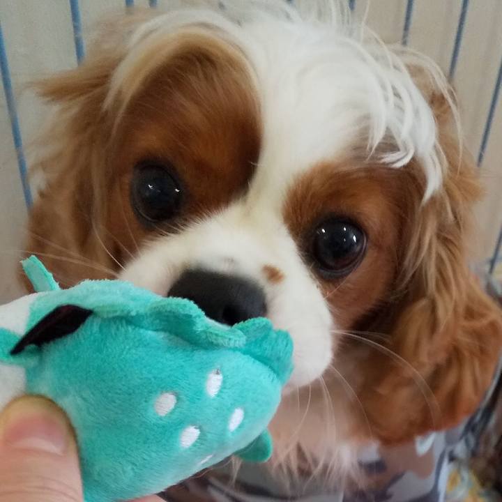 Ef323177 f862 4883 974f 105e2c2aedef 1593923516464