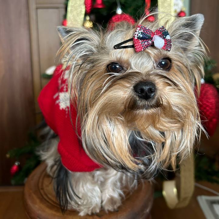 Ef3233d0 9685 4800 a144 505a8eb9a6a0 1671881804564