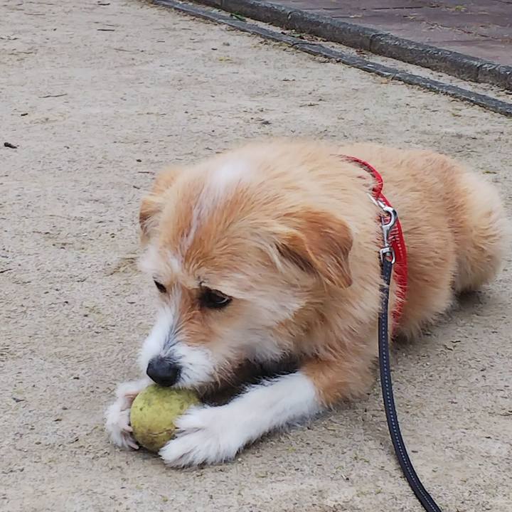 Ef324f63 c016 43c2 b946 8ff871956877 1551307137279