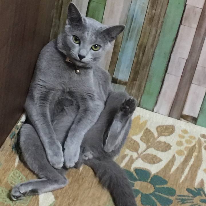 Ef32628a 9fd1 4e63 b095 9ec6e1512b35 1527115153002