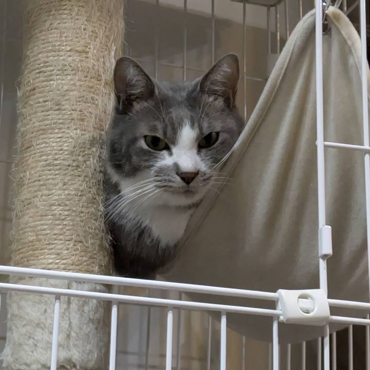 Ef326e5c ed08 46c6 802c 590cee1e920e 1760610262811