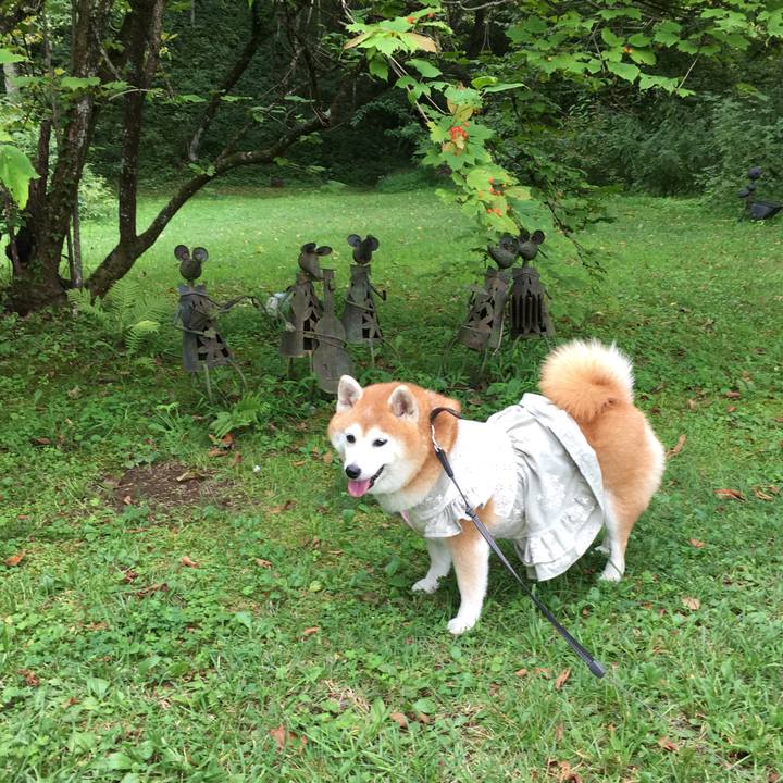 Ef32764f 7b2a 457d b1ba 4247690c026a 1540187784110