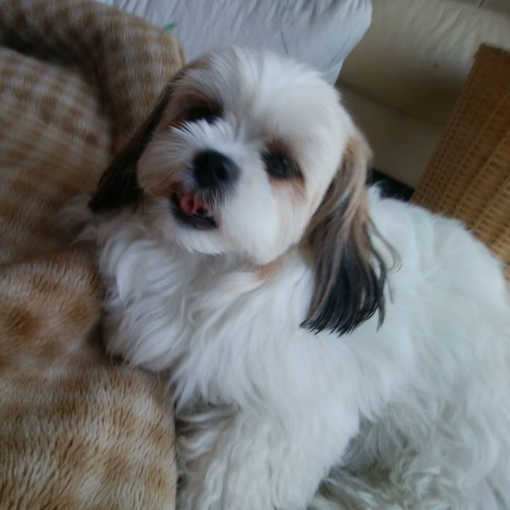 Ef327e26 23f1 4183 8193 7761de3ced59 1528414556685