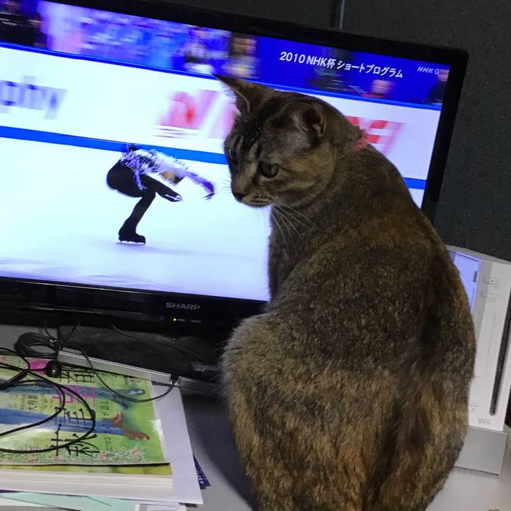 Ef329086 f5c4 4410 832e 84577c41054d 1588165675542