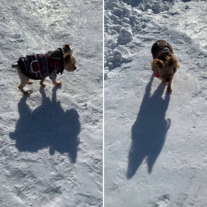 Ef32bea2 809b 4ea9 a424 4214f78a7d9a 1611049150277