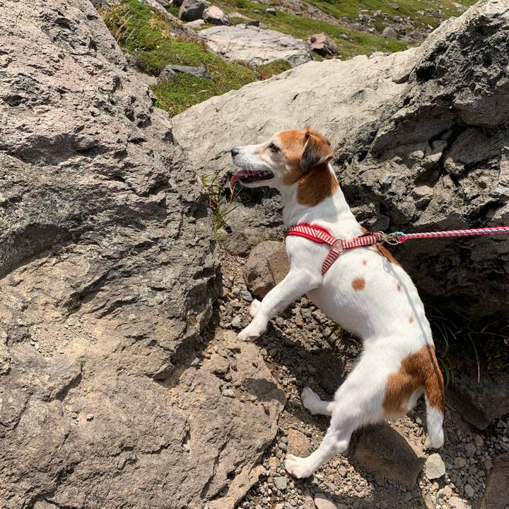 Ef32cd90 0d72 46ba b7bd 2187dd8cb5c0 1571151869850