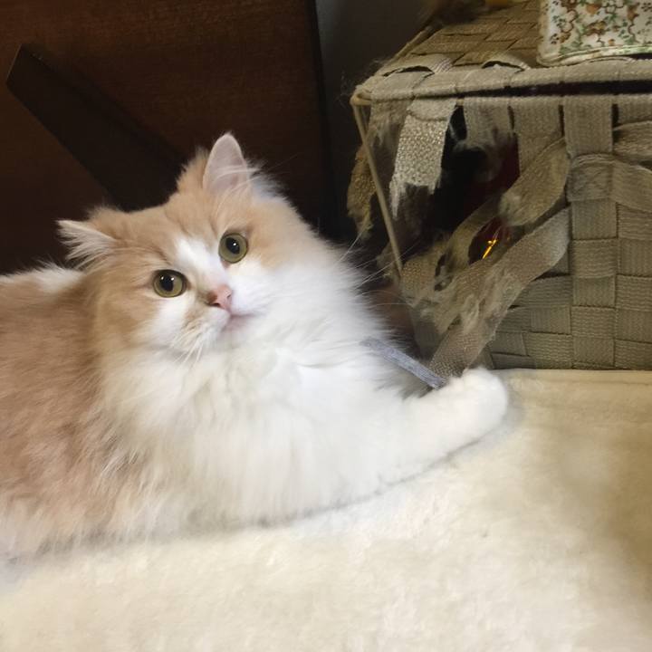 Ef3302f0 5615 4b67 983a 4656a5916f73 1531119151905