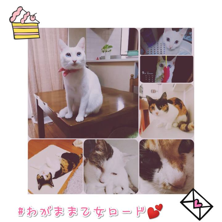 Ef3339cb 9dc7 48b3 87a1 946dce1cb4ee 1567303368015