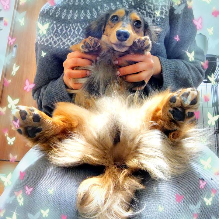 Ef334950 ae91 44b4 b75b 0a613ac4ac5e 1711279421238