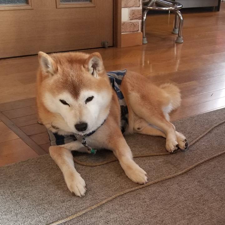 Ef33576b a776 4930 aaf7 75a28400e395 1672362399855