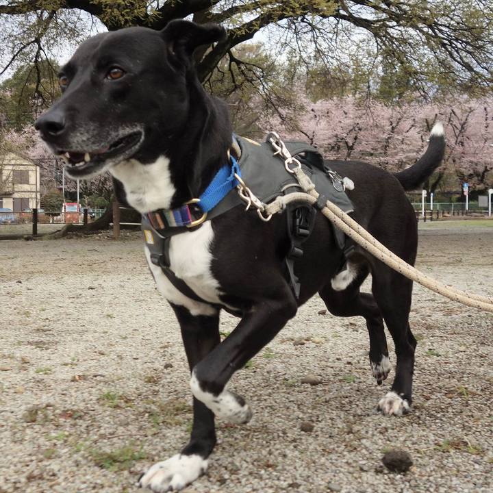 Ef335859 b297 498f afd5 f51c69ec0664 1649118426687