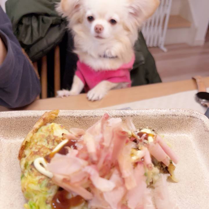 Ef3359a6 19c9 4b8f 8088 650f064063a3 1739448162598