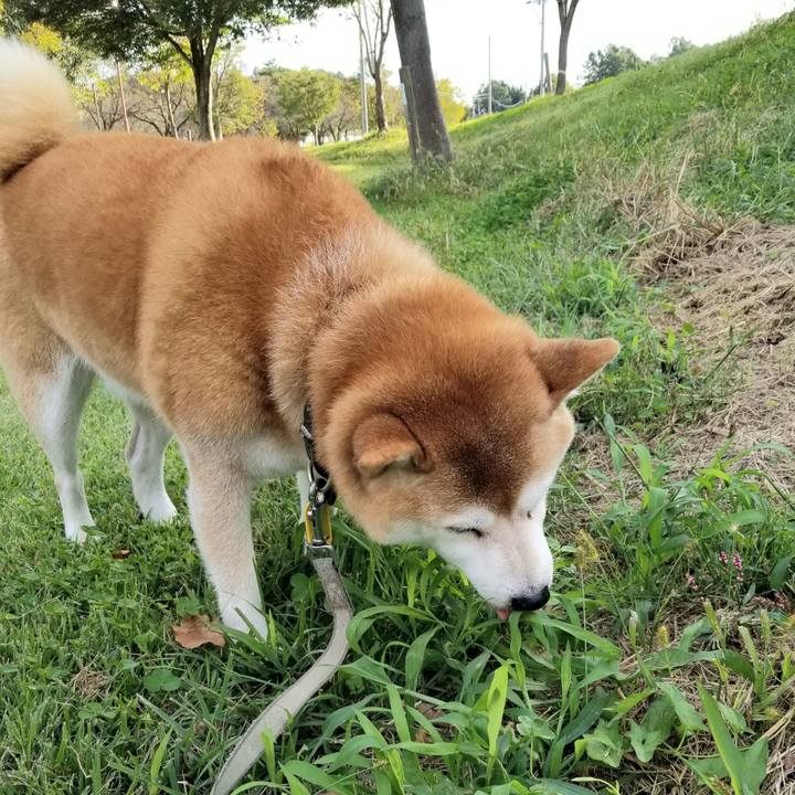 Ef335ddd 9473 407a a3a6 81874019c71d 1633935245527