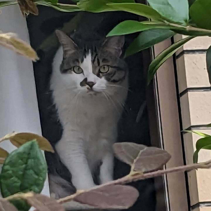 Ef335f9d 8d45 48b3 9582 bb75b1c1f47b 1685918624814